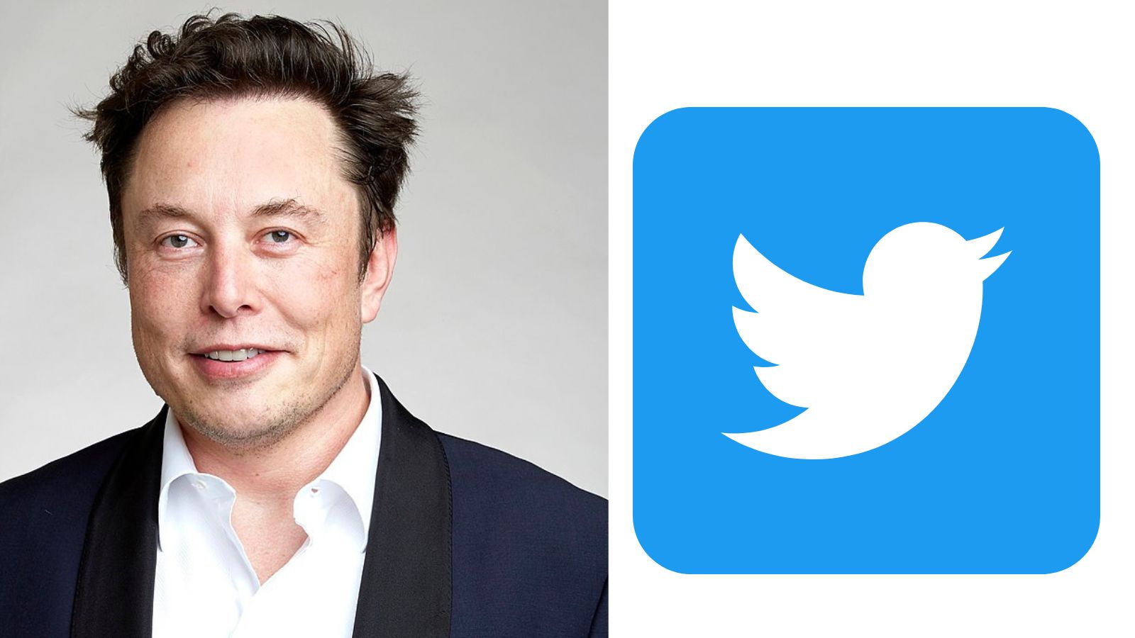 Elon Musk confirma que compró Twitter