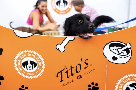 Vodka for Dog People