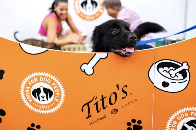 Vodka for Dog People