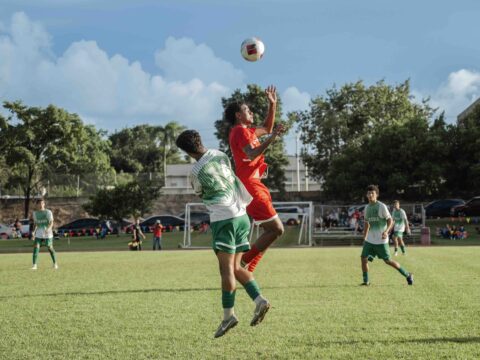LAI: Gallitos pierden su racha invicta ante los Tarzanes