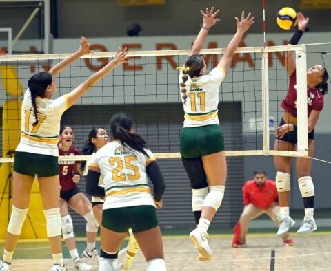 La LAI define su fase final de voleibol universitario