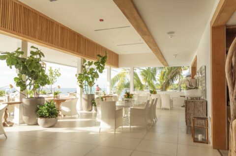 Nuevas propuestas gastronómicas se integran a la clasificación regional de 2025.