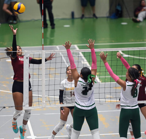 Definida la postemporada del voleibol universitario