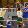 Los Castores completan el cuadro semifinal del voleibol LAI