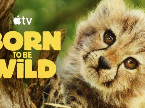 Nueva serie de Apple TV explora rescates de fauna en peligro Nueva serie de Apple TV explora rescates de fauna en peligro