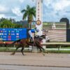 Hipódromo Camarero acoge la primera Copa Hecho en Puerto Rico