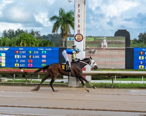 Hipódromo Camarero acoge la primera Copa Hecho en Puerto Rico