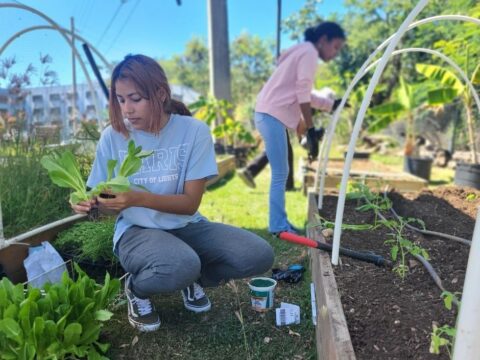 Sagrado revalida distinción Carnegie