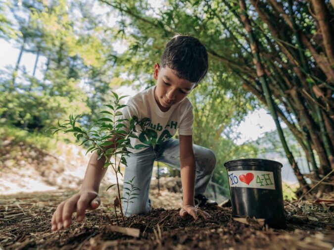 Ford anunció la apertura de Donativos Ambientales 2026 en Puerto Rico.