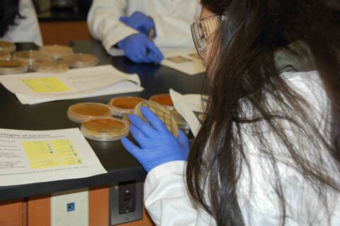 Estudiantes de Puerto Rico podrán participar en la búsqueda mundial de nuevos antibióticos Tiny Earth en Puerto Rico