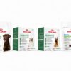 Nueva línea de probióticos y suplementos de Royal Canin debuta en Puerto Rico