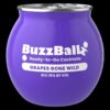 BuzzBallz lanza el sabor Grapes Gone Wild en Puerto Rico con experiencia de maridaje con snacks