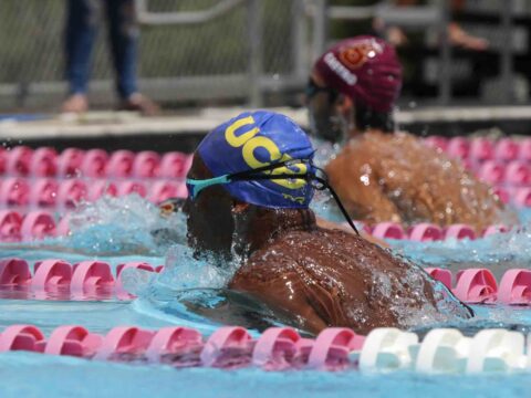 Natación de la LAI: Nueve universidades compiten este sábado en la UCB Atletas universitarios compitiendo en pruebas de natación durante los eventos de la LAI.